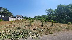 精選強銷★新城地勢平坦免填土漂亮農地UF1388