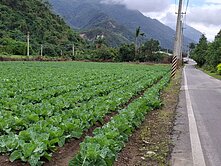 精選強銷★秀林超美方正原保千坪農地UF1393