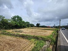 近育仁國小漂亮農地