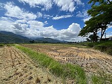 精選強銷★富里台九線旁買一塊田守一塊田UF1226