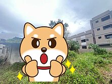 精選強銷★鳳林鎮慢活村莊美建地送稅籍平房UE505
