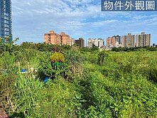 淡海天生段超優建地