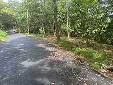 關西休閒農地(有臨路)