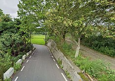 龍潭碧湖清淨休閒農地