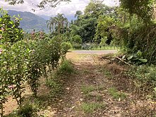 🌻專任橫山薯園大坪數農地