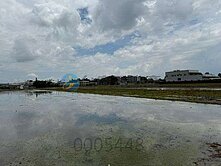 專任南投草屯交流道旁農地