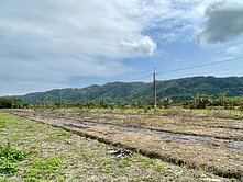 精選強銷★東華大學旁都內小筆農地(一)UF210