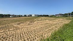 觀音近66快速道路正桃大路面寬農地