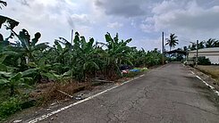 (專約)高雄美濃便宜美農地A