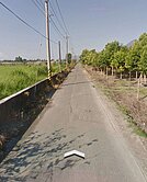 精選強銷★壽豐2甲地送合法農業設施土地UF781