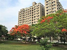 我家樓下是公園★兩房唯一釋出★走路散步即可到達