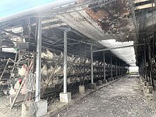 岡山*新本洲段*設備完整中型養雞場*機不可失！