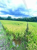 新竹科學園區三期徵收地