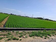 嘉鹿公路旁雙面路美農地