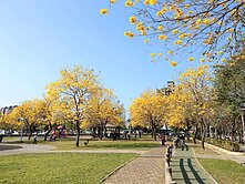 ☘️中醫特區☘️近廍子公園明日3房