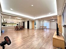 建興絕美採光大坪車電寓