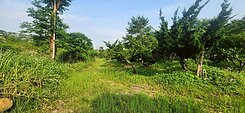 湖口北安段 大面寬一般農地 臨8米路 