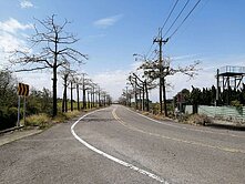 6.6分大面寬雙面路方正美農地