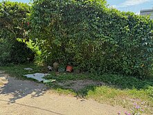 🌈龍潭市區旁大面寬建地中豐路百年商圈