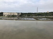 103近楊梅車站都內農