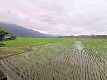 精選強銷★佳林低總價稻香陣陣優美農地UF1060