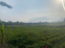 精選強銷★吉安農舍旁小筆免填土農地UF1095