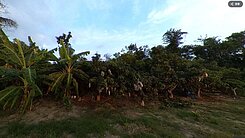 橋頭造鎮｜區段徵收農地
