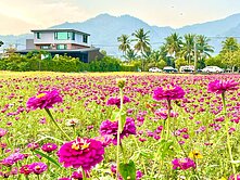 沉浸美濃湖花海全景大地坪精品農舍