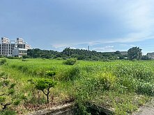 大園8米路一般農