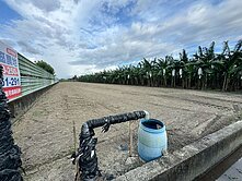 大寮翁公園方正都內美農地