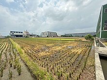 烏日國道3號旁方正美農地