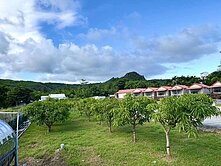 墾丁國家公園#正墾丁大街旁休閒土地C03706
