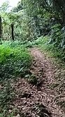 大溪福安段156
