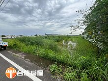 🌾歸仁八甲有水💧有電⚡️農地🌾