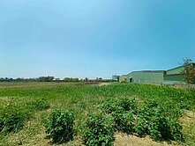 台南市七股區下山子寮段796坪一般農業區農地