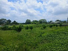 龍平路美農地146.35