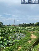 觀音正新華路蓮花田　方正平坦、臨１２米路、低總價