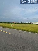 觀音正金橋路美農地　地形方正、平坦水源足、適農作