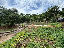 陽明山稀有釋出臨路平坦潛力黃金土地