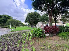 逢甲文修公園旁面寬雙車一樓公寓(專任)
