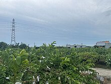岡山漂亮方正美農地#臨12米路#近未來第二交流道