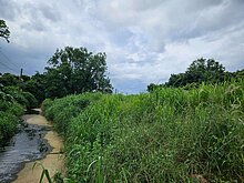 鳥松｜大樹｜便宜農地