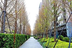 🌳 落羽松秘境豪宅｜惠宇新觀 公園首排四房雙平車