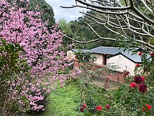 🏆專任北埔古厝三合院建+農