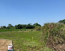大園航空城二期計畫具商業潛力，持分農地