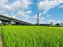 屏東市區農保地-R