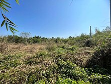 屏東市海豐方正農地近交流道