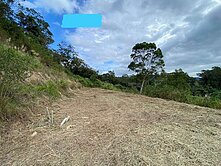 🆘🅰️大降價喜歡趁現在‼️ 美農地只要199萬