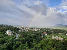 雲品樹海景觀宅