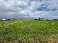 🏆儀居團隊🏆IZ9專任-宜蘭員山方正農地